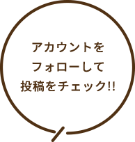 アカウントをフォローして投稿をチェック‼